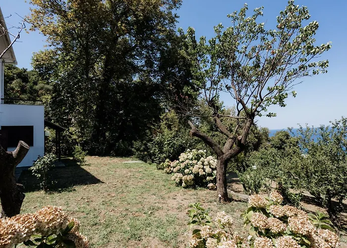 Aggeliki- Mountain Meets The Sea Άγιος Ιωάννης