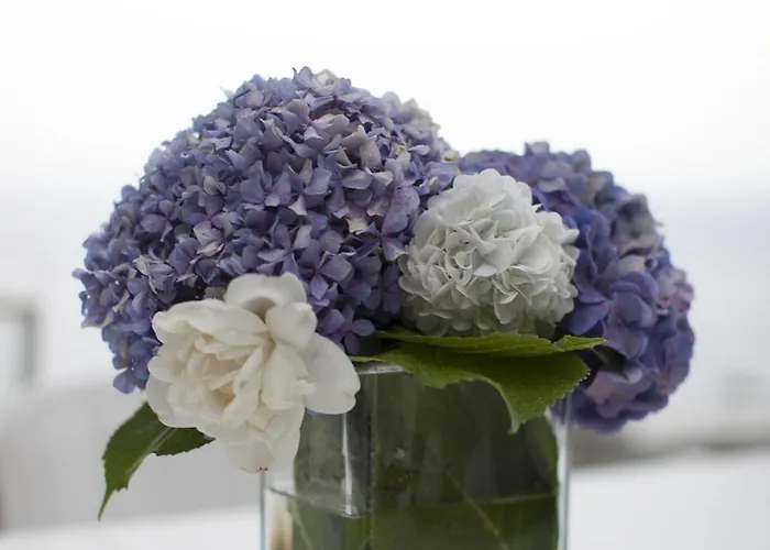 Aggeliki- Mountain Meets The Sea Case de vacanță