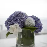 Aggeliki- Mountain Meets The Sea 펜션