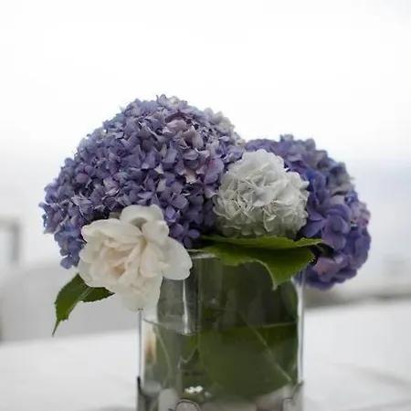 Aggeliki- Mountain Meets The Sea Σπίτι διακοπών