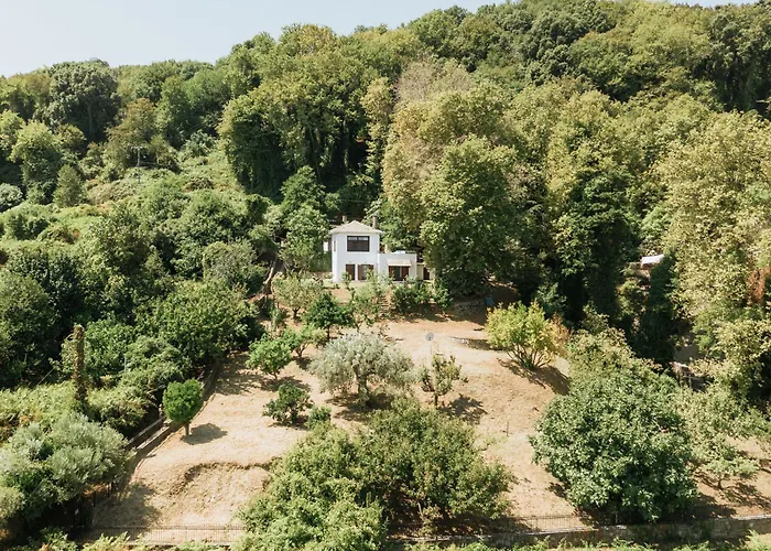 Aggeliki- Mountain Meets The Sea בית נופש Agios Ioannis (Thessaly)